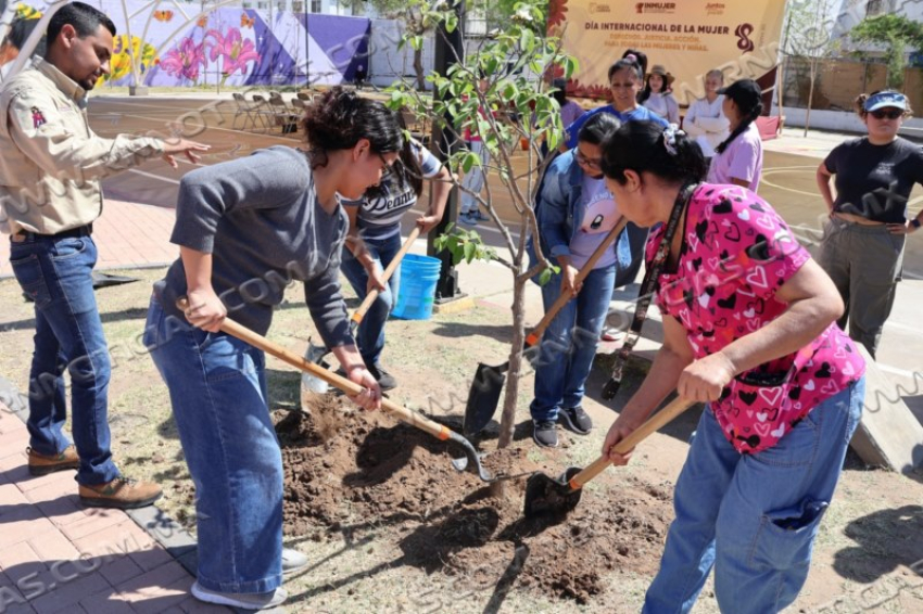 CULMINA CON ÉXITO TALLER DE LOMBRICOMPOSTA ORGANIZADO POR INMUJER Y GESTIÓN AMBIENTAL