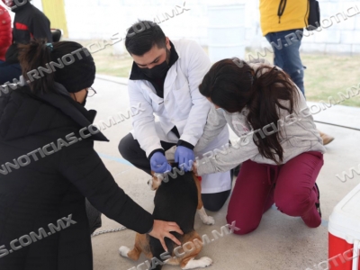 MUNICIPIO REALIZA EXTENSA CAMPA&Ntilde;A DE SALUD ANIMAL