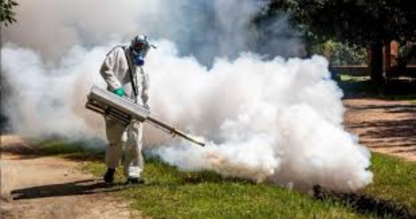 Temen brote de dengue en Tamaulipas