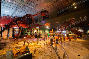 DAR&Aacute; GOBIERNO MUNICIPAL OPCIONES DE ESPARCIMIENTO Y APRENDIZAJE PARA ESTUDIANTES