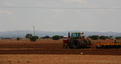 Ahorca a productores calificación en buró