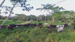 Nuevo Laredo impulsa la competitividad del campo con la tercera edici&oacute;n de &ldquo;Mejoramiento Ganadero NLD&rdquo;