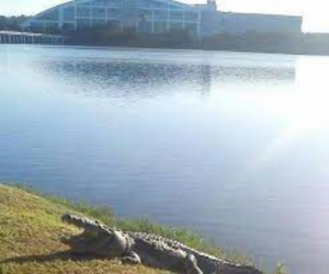 Aireador Ecol&oacute;gico Oxigenar&aacute; Laguna del Carpintero