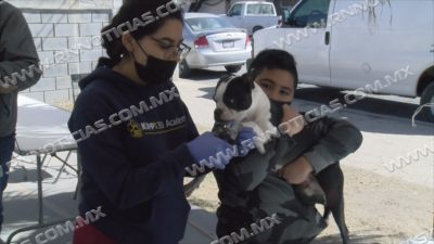 Realizan primera campa&ntilde;a de Esterilizaci&oacute;n Canina y Felina