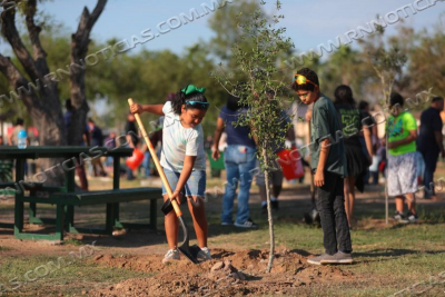 INVITAN A EMPRESAS A UNIRSE EN CAMPA&Ntilde;A DE REFORESTACI&Oacute;N DE PARQUES Y PLAZAS