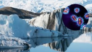 Descubren m&aacute;s de mil &lsquo;virus zombies&rsquo; congelados en una monta&ntilde;a