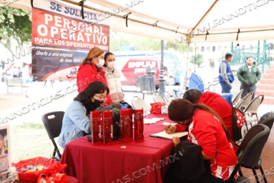 OFERTAR&Aacute;N EMPRESAS LOCALES OPCIONES LABORALES