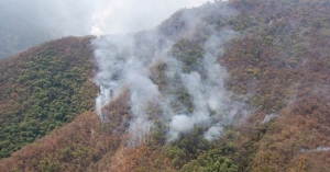 Incendios forestales han consumido 3.5 mil hectáreas en Tamaulipas