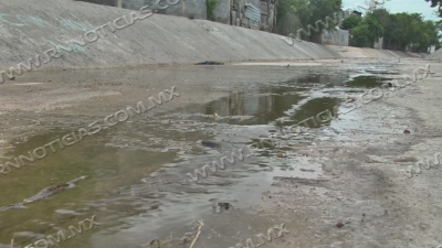 Agua estancada de lluvias pasadas podr&iacute;an generar criaderos del mosquito transmisor del dengue