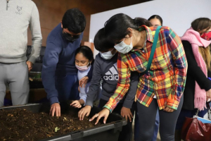 IMPARTEN EN TALLER CONOCIMIENTOS PARA TENER UN HUERTO EN CASA