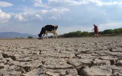 Casi 76% del Estado está seco: Conagua
