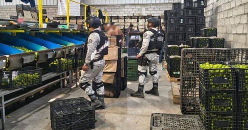 Suman 278 detenidos por el Plan Michoacán por la Paz y la Justicia