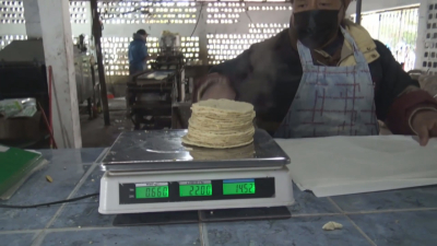 VIDOE No hay aumento al kilo de tortilla por el momento; Productores