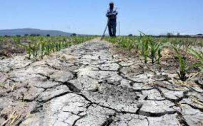 Piden declaratoria de desastre por sequía