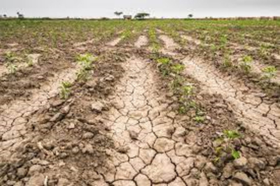 Descartan uso de agua de mar para combatir la sequ&iacute;a
