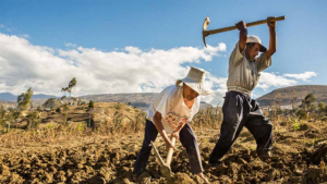 Crisis de sequ&iacute;as y falta de apoyo amenazan la seguridad alimentaria en M&eacute;xico