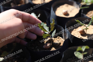 REACTIVAR&Aacute;N&nbsp; PL&Aacute;TICAS DE CONCIENTIZACI&Oacute;N SOBRE EL MEDIO AMBIENTE EN ESCUELAS