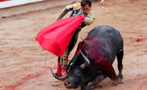 Peleas de gallos y corridas de toros ahora son patrimonio cultural en NL