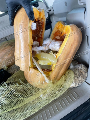 CBP incautan $402 mil d&oacute;lares en metanfetamina l&iacute;quida en el puerto de entrada de Eagle Pass