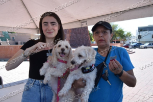 SE UNE GOBIERNO MUNICIPAL A CAMPA&Ntilde;A DE VACUNACI&Oacute;N ANTIRR&Aacute;BICA GRATUITA