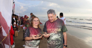 Liberan más de 400 crías de tortuga Lora en Playa Tesoro