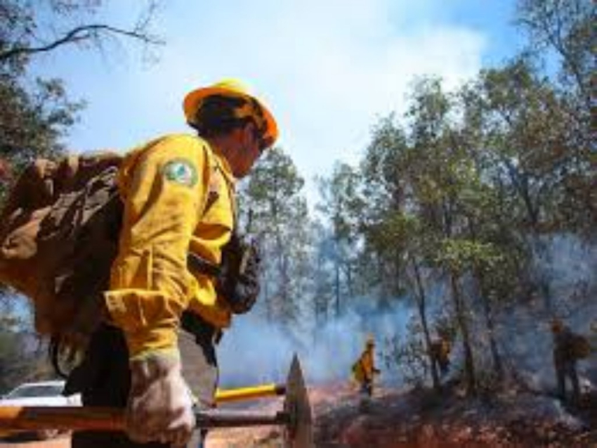 México registra 72 incendios forestales en medio de una fuerte ola de calor