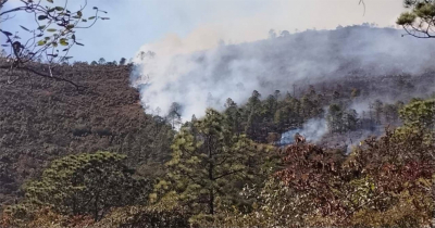Van 15 hect&aacute;reas de incendio forestal en Miquihuana: PC