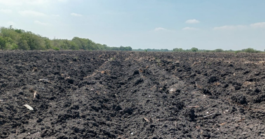 Productores de Altamira bloquearían el Puente Roto