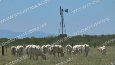 Ganaderos esperanzados entrada de oto&ntilde;o para lluvias