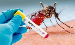 Muertos por dengue en M&eacute;xico pasaron de 13 a 118 en un a&ntilde;o