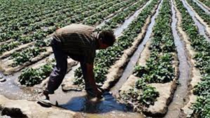 Ambientalistas piden captar y cosechar agua