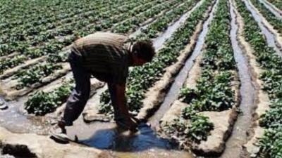 Ambientalistas piden captar y cosechar agua