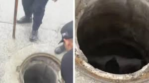 Rescatan a hombre que estuvo 3 d&iacute;as en una coladera