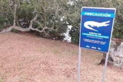 Van 5 ataques de cocodrilos en la Laguna del Carpintero