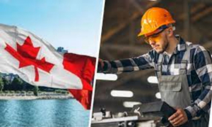 Ofrecen chamba a mexicanos en Canad&aacute; con sueldos de 34 mil pesos al mes