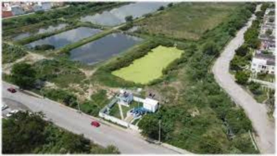 En 2024 COMAPA Altamira deja planta laguna de la puerta