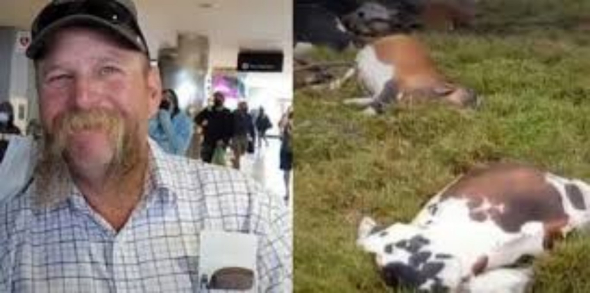 Muere ganadero junto a 34 de sus vacas y tres terneros tras caerle un rayo