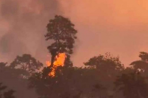 Se registra fuerte explosi&oacute;n en ducto de Pemex en Veracruz; hay dos heridos