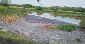 Vecinos Alarmados por Sustancias Desconocida en Laguna del Sector Norte de Ciudad Madero