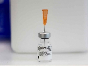 Veterinarios dan vacunas para perro como dosis covid; hay 75 afectados