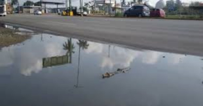 Capturan 22 cocodrilos en tres d&iacute;as en Altamira