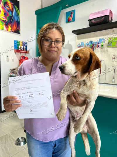 EXHORTA GOBIERNO A DENUNCIAR CASOS DE MALTRATO ANIMAL; APLICAN PRIMER MULTA POR M&Aacute;S DE 10 MIL PESOS