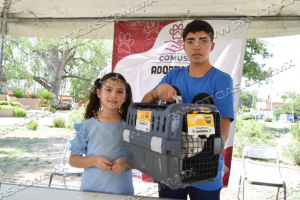 RESPONDEN CIUDADANOS A FERIA DE ADOPCIONES