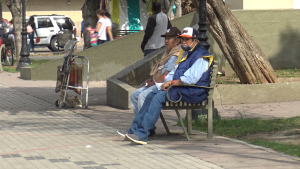 VIDEO Entrada de primavera traerá aumento en enfermedades alérgicas y respiratorias