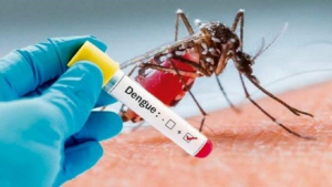 Sube a 12 el n&uacute;mero de casos de dengue en Tamaulipas