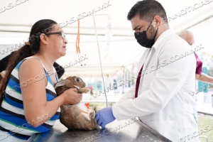 LLEVAN SALUD VETERINARIA A LAS MASCOTAS DE LA COLONIA SOLIDARIDAD