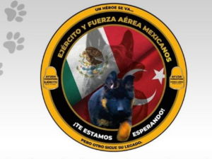 Turqu&iacute;a dona perrito rescatista a M&eacute;xico en honor a Proteo