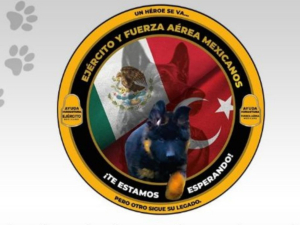 Turquía dona perrito rescatista a México en honor a Proteo