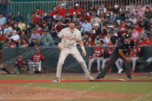 Tecos celebra el 4 de julio abriendo serie contra Sultanes