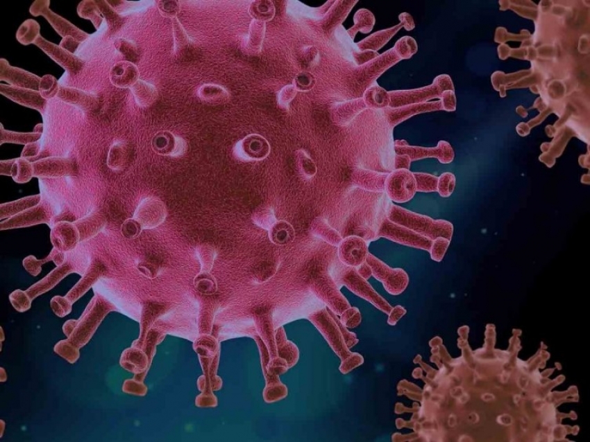 Encuentran &#039;punto débil&#039; del coronavirus para evitar su multiplicación